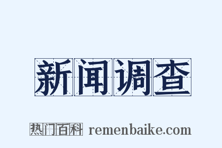 新闻调查是什么意思的图片